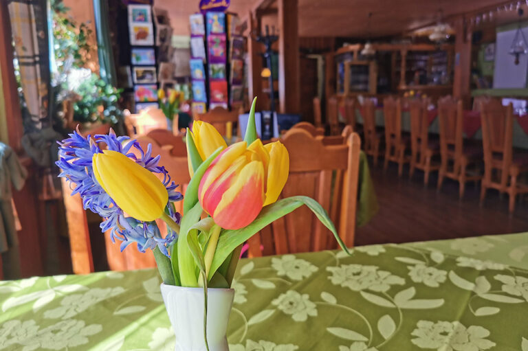 Waldcafe Lenkgrund, Frauenwald © Ilmenau kreativ erleben