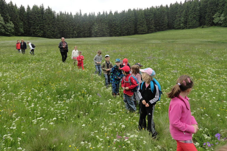 Zwergenpfad, Frauenwald