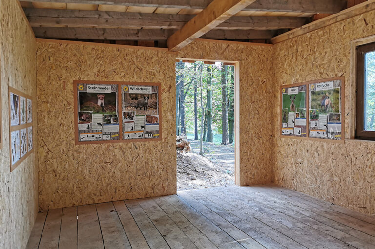 Hasenschule im Lieblingswald, Frauenwald  © Ilmenau kreativ erleben