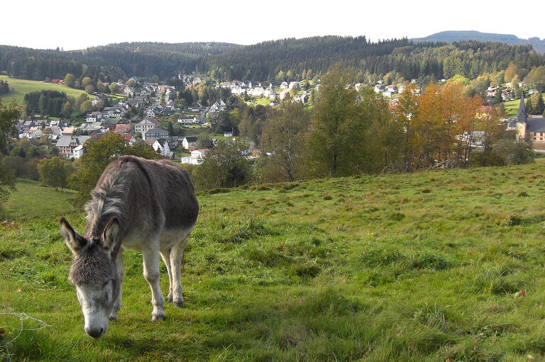 Anerkannter Luftkurort Stützerbach